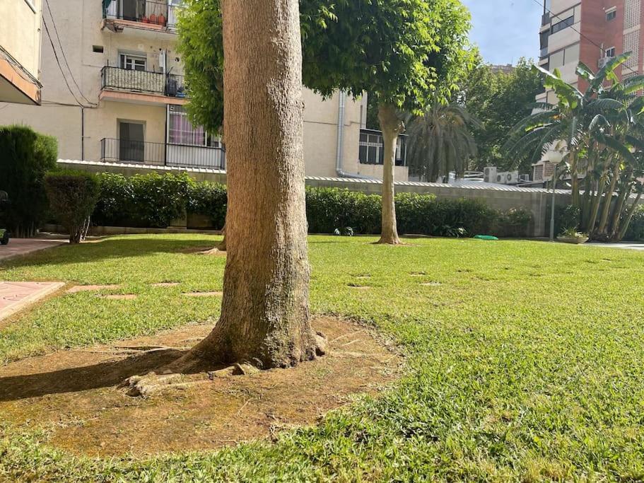 Inmejorable Ubicacion,70M Playa 70M Pueblo Leilighet Benidorm Eksteriør bilde