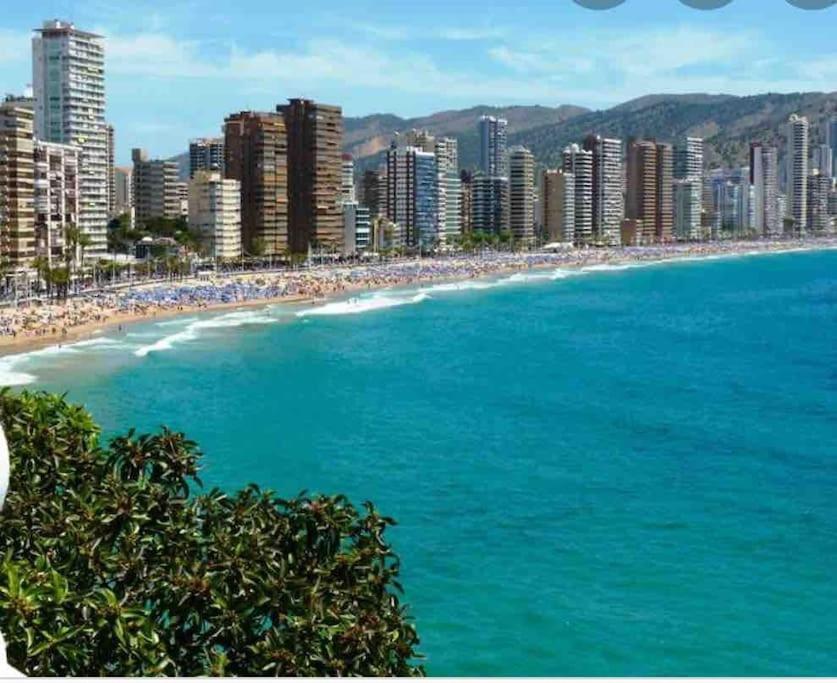 Inmejorable Ubicacion,70M Playa 70M Pueblo Leilighet Benidorm Eksteriør bilde